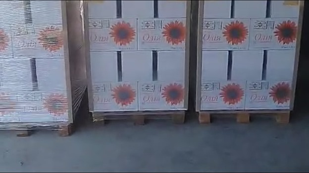 Huile de tournesol avec additifs pour la friture en bouteilles PET-TM AUTHENTIQUA 10l